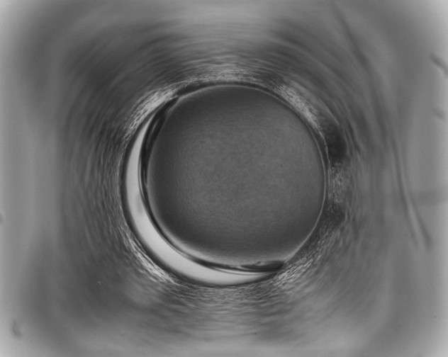 X0000098000389200803241347