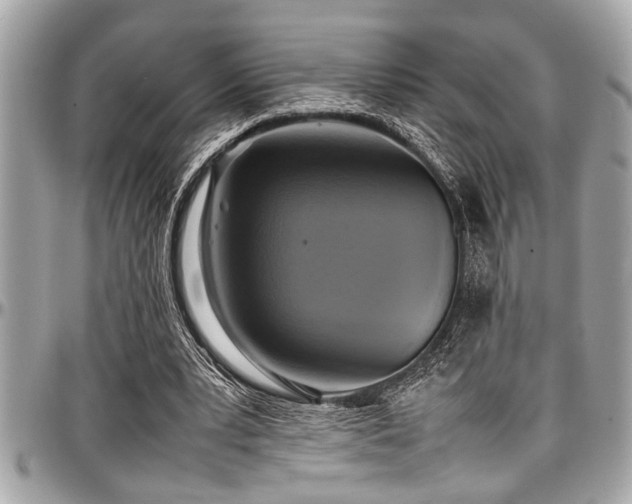 X0000098000391200803241347