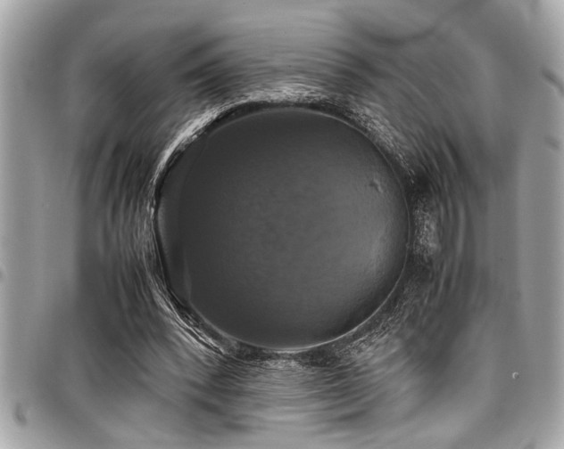 X0000098000392200803241347