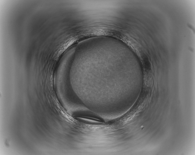 X0000098000393200803241347