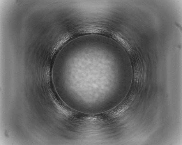 X0000098000394200803241346