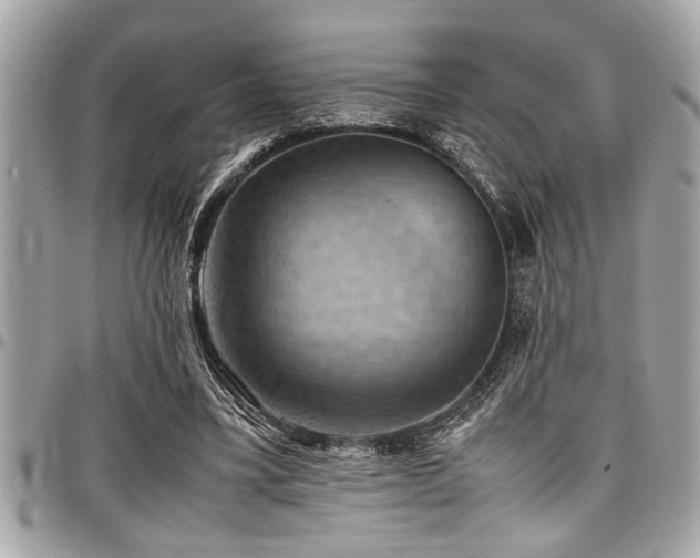 X0000098000395200803241346