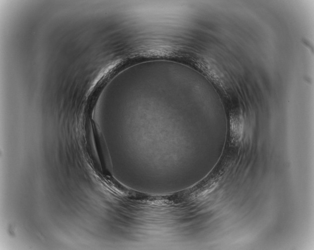 X0000098000396200803241346