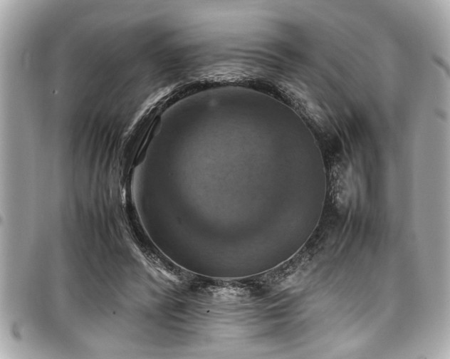 X0000098000400200803241346