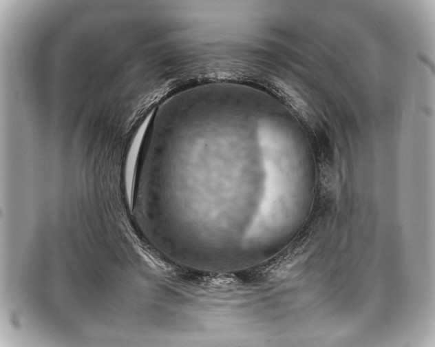 X0000098000401200803241346
