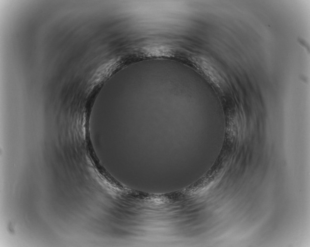 X0000098000402200803241346