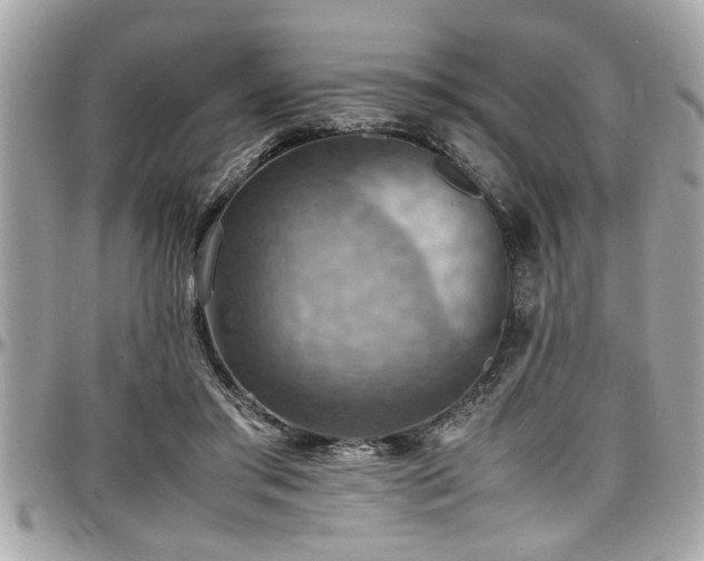 X0000098000405200803241346