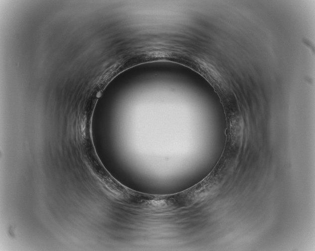 X0000098000406200803241346