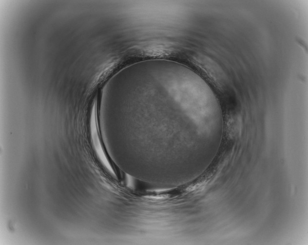 X0000098000407200803241346