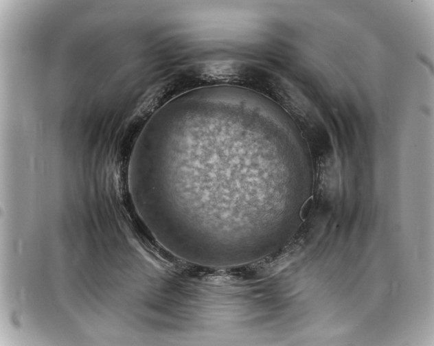 X0000098000408200803241346