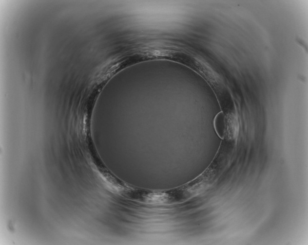 X0000098000410200803241346