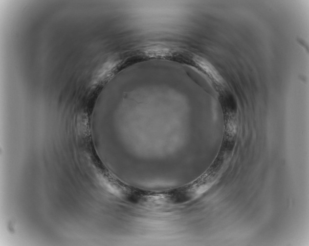 X0000098000411200803241346