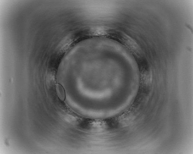 X0000098000415200803241346