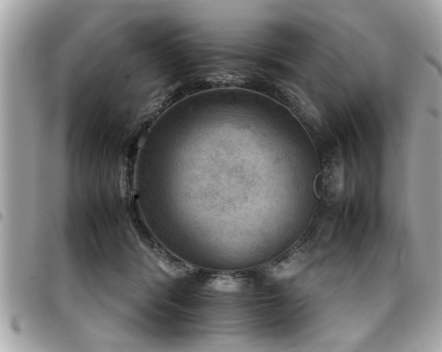 X0000098000416200803241346