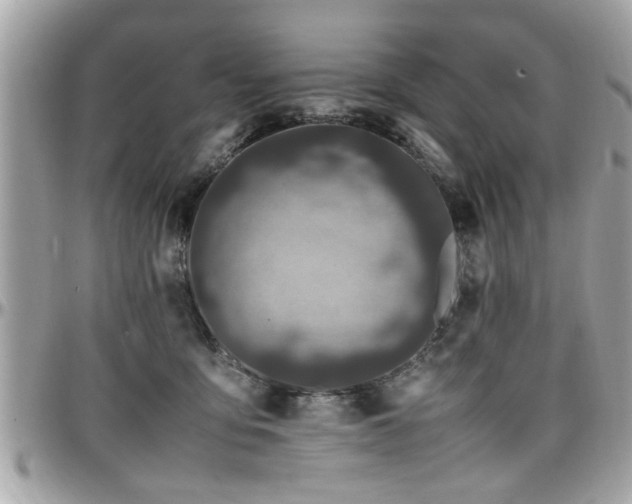 X0000098000419200803241346