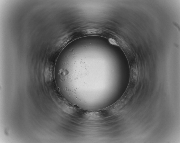 X0000098000422200803241346