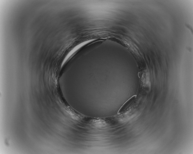 X0000098000424200803241346