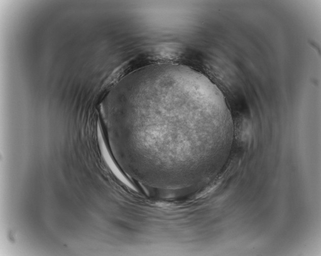 X0000098000425200803241346