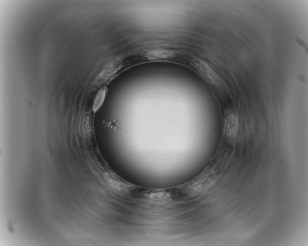 X0000098000426200803241346