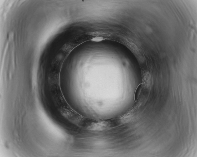 X0000098000430200803241346