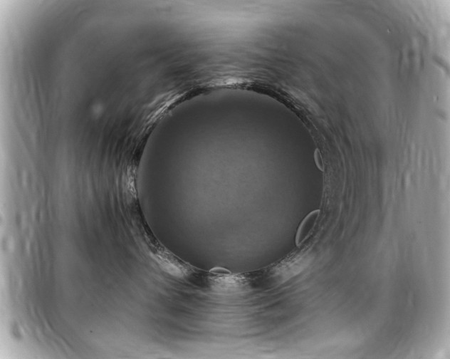 X0000098000432200803241346