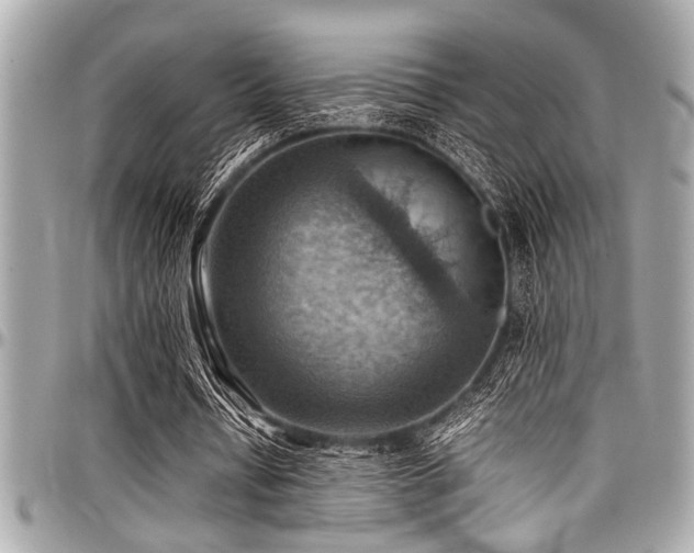 X0000098000434200803241345