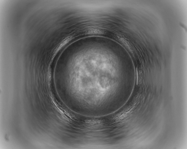 X0000098000435200803241345