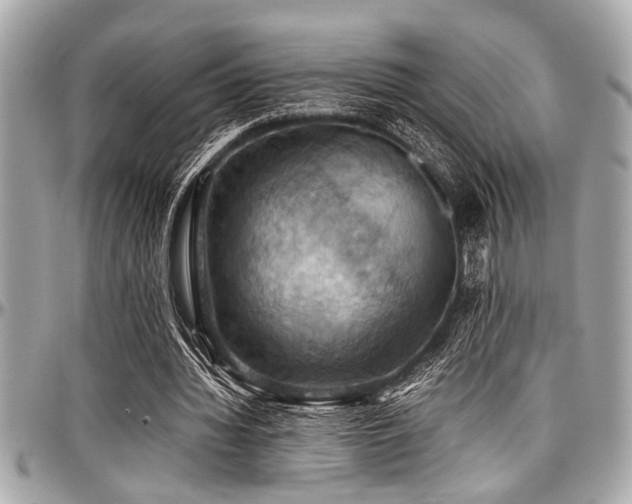 X0000098000436200803241345