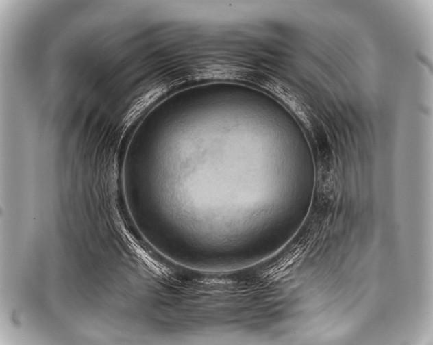 X0000098000437200803241345