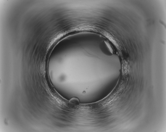 X0000098000438200803241345