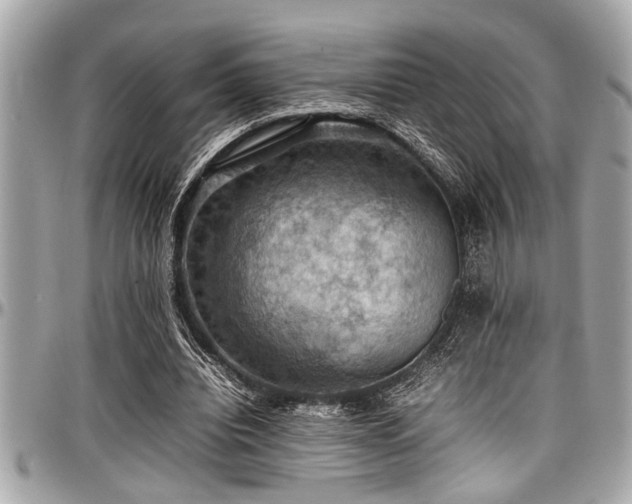 X0000098000440200803241345
