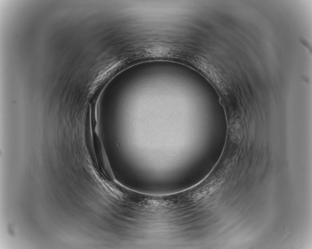 X0000098000442200803241345