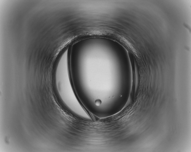 X0000098000444200803241345