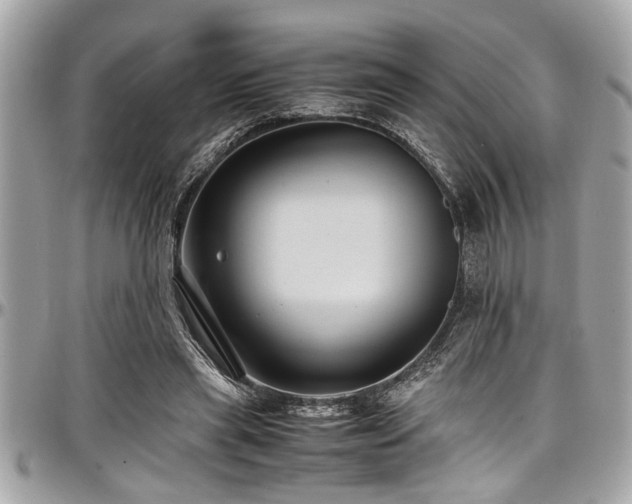 X0000098000445200803241345