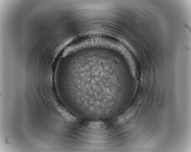 X0000098000446200803241345