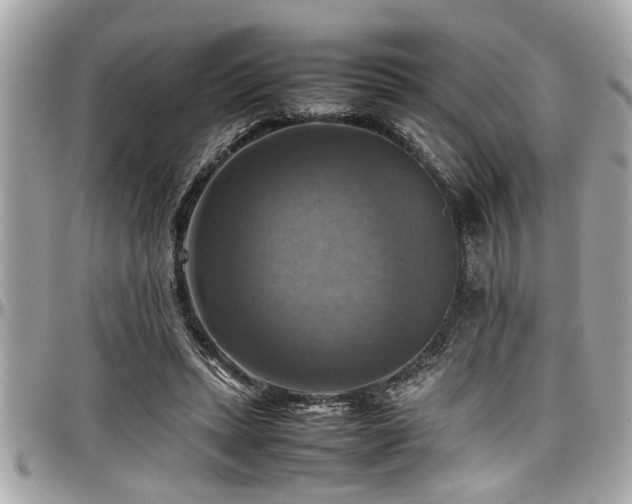 X0000098000447200803241345