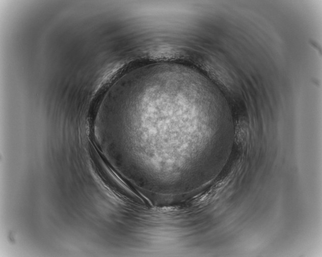 X0000098000448200803241345