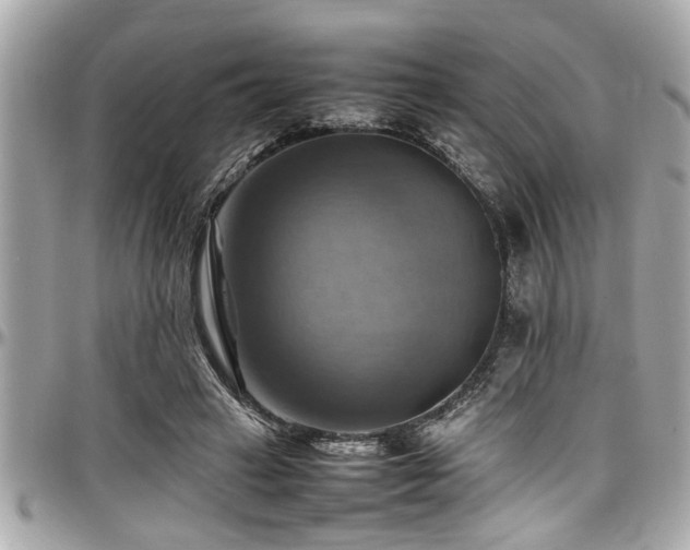 X0000098000449200803241345