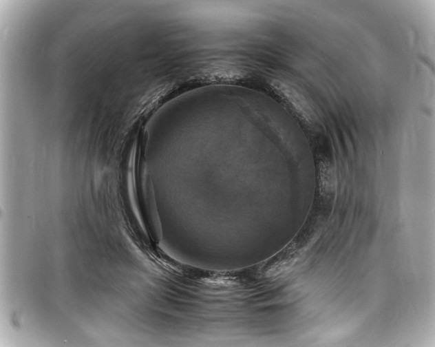 X0000098000451200803241345