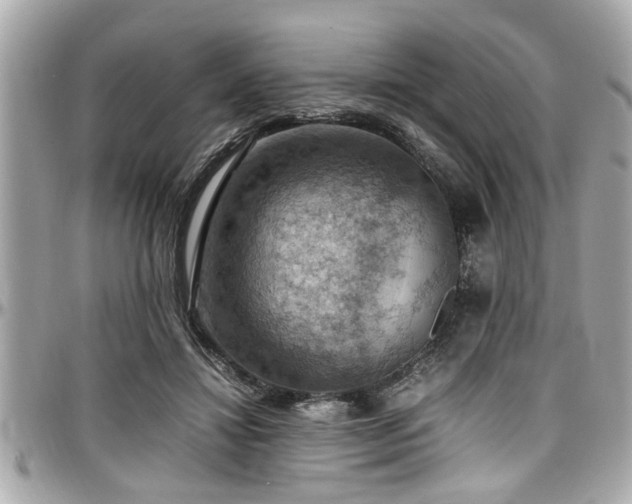 X0000098000452200803241345