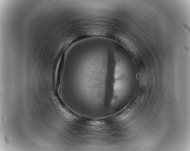 X0000098000453200803241345