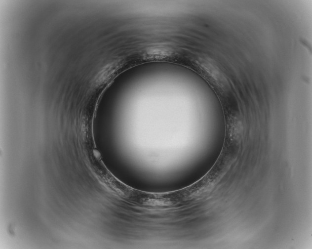 X0000098000455200803241345