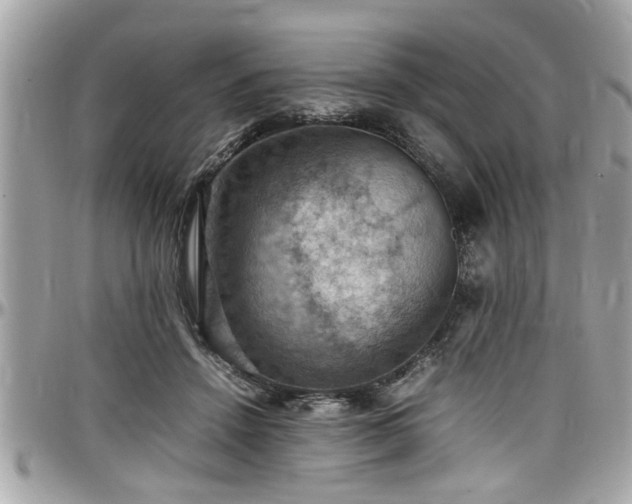 X0000098000456200803241345