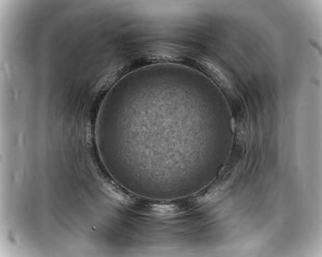 X0000098000457200803241345