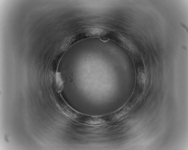 X0000098000459200803241345