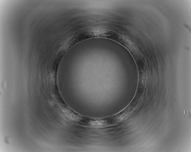 X0000098000461200803241346