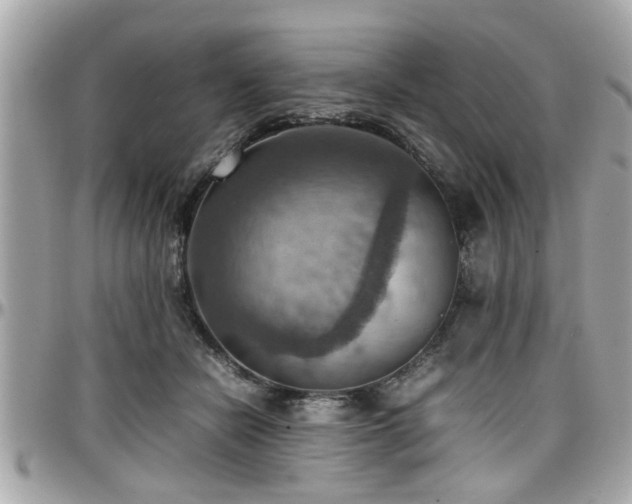 X0000098000462200803241346