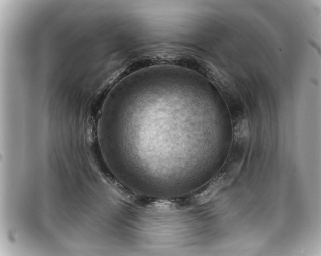 X0000098000464200803241346