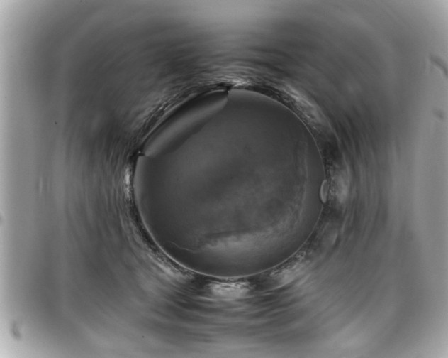 X0000098000465200803241346