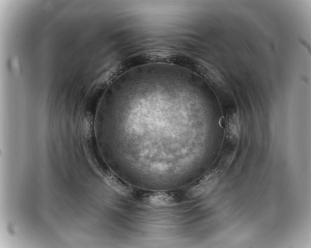 X0000098000468200803241346